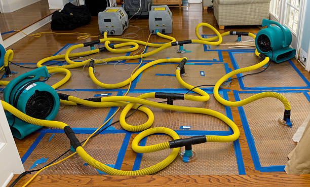 Professional Crawl Space Water Removal technician working in Moody, TX